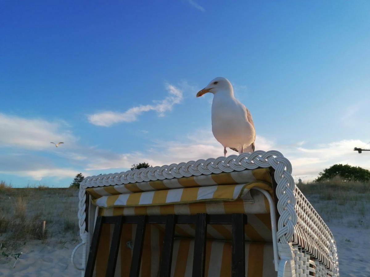 Ferienwohnung Strandburg Херингсдорф Экстерьер фото